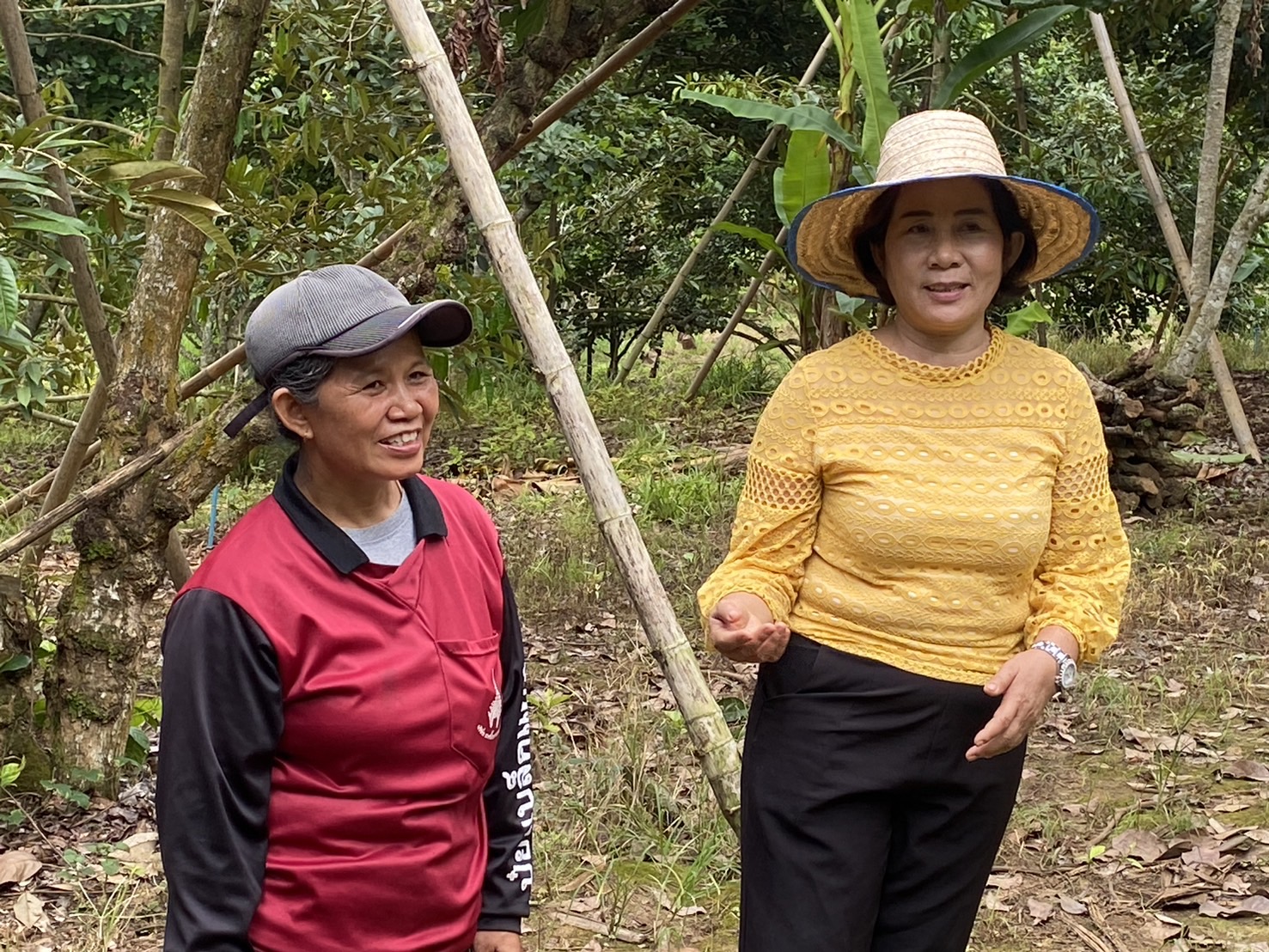 title - ผู้ตรวจราชการ ส.ป.ก. (เขต 15,16 และ 17) ประชุมตรวจติดตามความก้าวหน้าการดำเนินงานตามแผนงานตรวจราชการและลงพื้นที่โครงการที่เกี่ยวข้องในเขตปฏิรูปที่ดิน ประจําปีงบประมาณ 2568 รอบที่ 2 ณ ส.ป.ก.จังหวัดเชียงใหม่